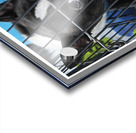 CACHOT Impression Acrylique