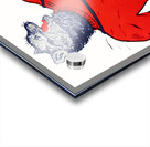 Vintage Arizona Wildcat Band Cartoon Art Acrylic print