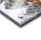 G20 Among the Pines Acrylic print