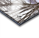 G13 Farmstand at Bussa Orchards Acrylic print