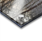 G19 Shining Light Acrylic print