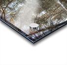 G12 Roaring Brook Acrylic print