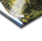 Fall Colors 3 Acrylic print