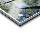 HETRE OU NE PAS Acrylic print