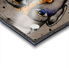 A Little Bird Said.... Acrylic print