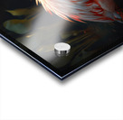 Flamingo Dreams Acrylic print