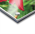 LA MOUCHE Acrylic print