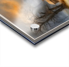 NEED SOME LUCK Acrylic print