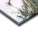 Snowy Sunset On Riversite Vintage Acrylic print