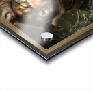 Wet Wolf  Acrylic print