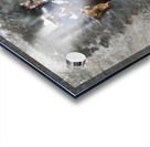 Bull Dogger Acrylic print