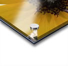 Sunflower  Acrylic print