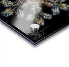 Coloured Snowflake1 Acrylic print