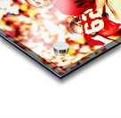 Danny McManus Florida State Art Acrylic print