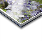 ATTRAPEZ LA GRAPPE Acrylic print