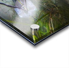 Mysterious Underwater Reflections Acrylic print