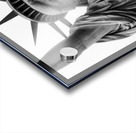 torch of statue of liberty  horizontal 1509 Torch Acrylic print