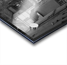 Looking Up Acrylic print