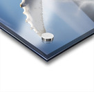 Somersault Acrylic print