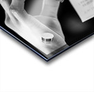 Taipei Soosh Acrylic print