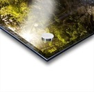 _MG_6866 Acrylic print