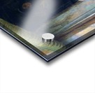 Librarians Acrylic print