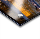 Surprise Porpoise Heron Attack Acrylic print