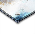 Make A Wish Acrylic print