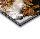 The Last Moment Acrylic print