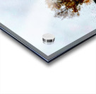 Roadside Fall Acrylic print