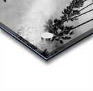 stanford main quad  vertical 2896 Quad 13k Acrylic print