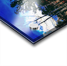 The Secret Forest Acrylic print