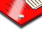 Learn to fly Acrylic print