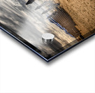 Cabourg Beach Umbrellas Acrylic print