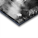 Bahati The Great Acrylic print