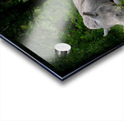 African Siesta Acrylic print