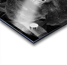 Ragnar of Bwindi Acrylic print