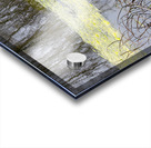 Winter Pond Textures Acrylic print