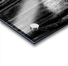 Infrared Forest Acrylic print