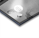 rival bros coffee  panoramic 3442 Rival 13k Acrylic print