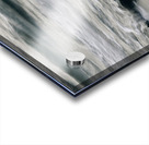 Coquina Beach Birds Palm Coast Florida Acrylic print