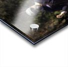 Red Tailed Hawk Falconry Demonstration Acrylic print