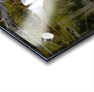 Florida Park White Heron Take Off Acrylic print