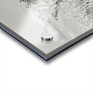 Blowing in the Winds Acrylic print