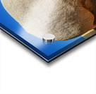 Mystic Monolith: Unveiling the Enigma of Skull Rock Joshua Tree National Park Acrylic print