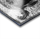 Nothing to See Here Acrylic print