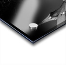 Hochster Schloss and Saint Justinus Church Acrylic print