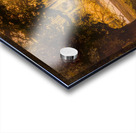 Sunrise Through the Trees Acrylic print