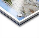 LA TERRE N EST PAS PLATE 2 Acrylic print