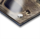 Capsule Acrylic print